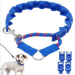⁦طوق الكلاب التعليمي Command collar⁩ - الصورة ⁦5⁩